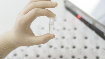 Транспортная среда для коронавируса SARS-CoV-2 в эппендорфе