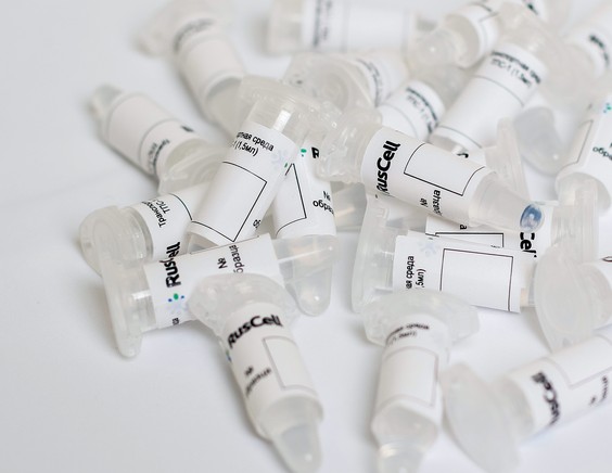 Транспортная среда для коронавируса в эппендорфе